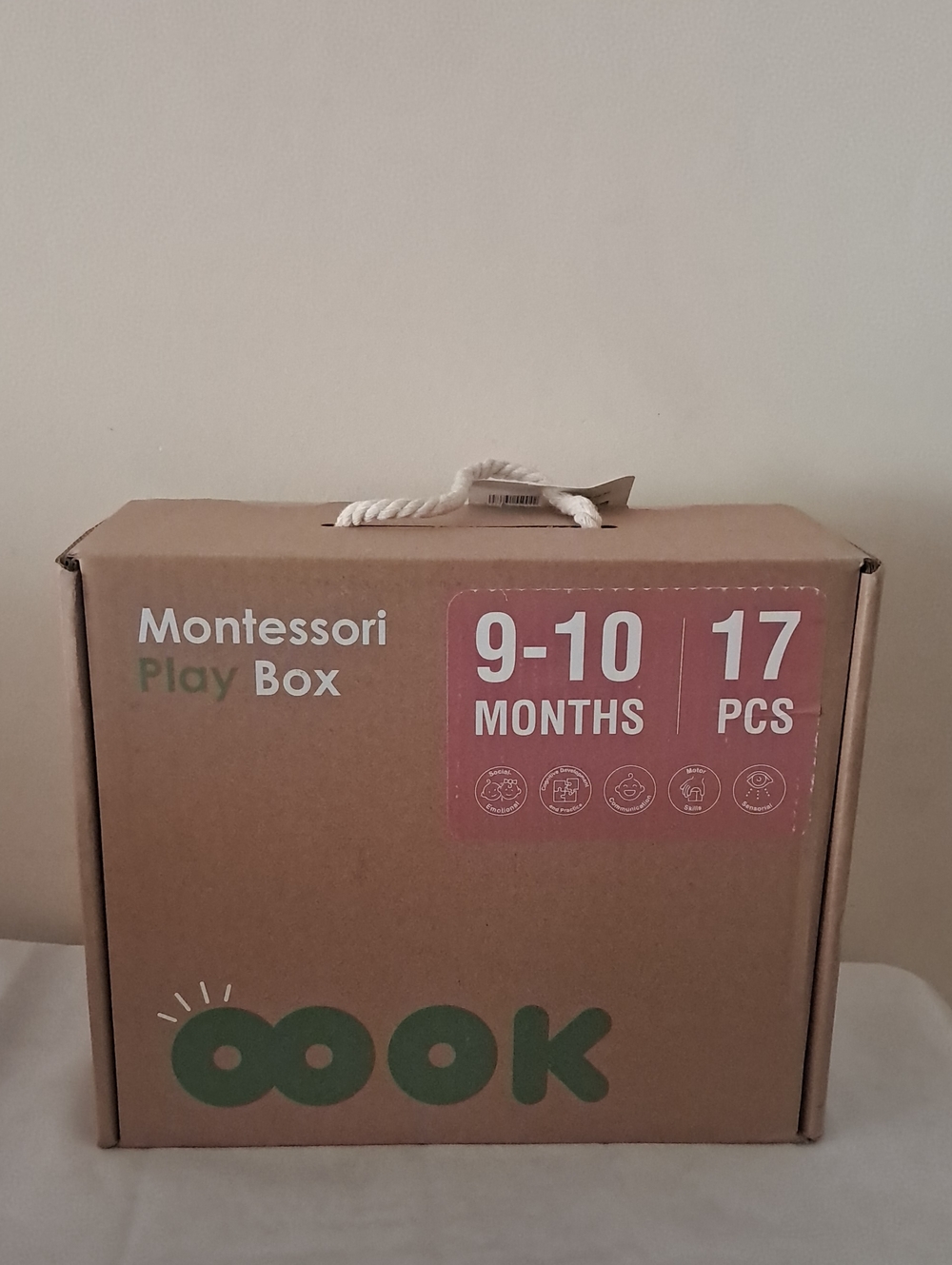 Montessori Baby Toys 9-10 Months Development Learning Toys